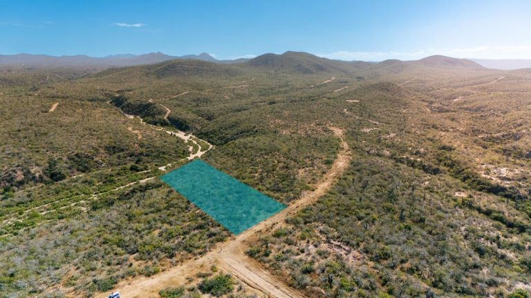 Las Margaritas Lote 14 MZA 25 – photo 2