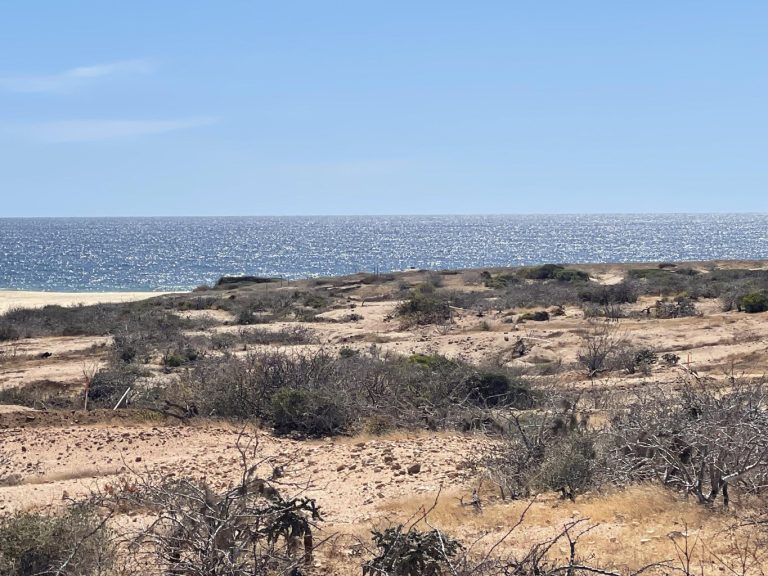 Las Margaritas Ocean View – photo 5