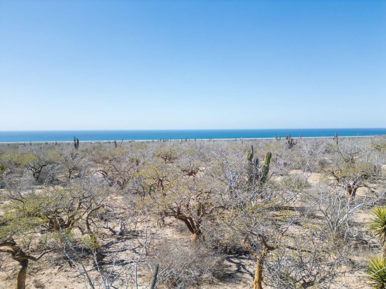 Las Playitas Heaven Lot #3 – Land for sale in Todos Santos-General, Todos Santos