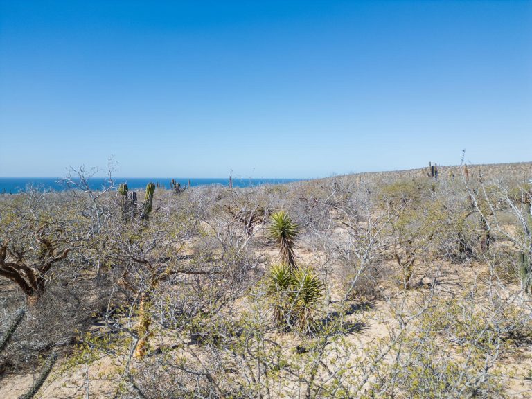 Las Playitas Heaven Lot #3 – photo 4
