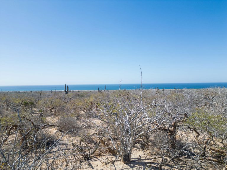 Las Playitas Heaven Lot #3 – photo 2