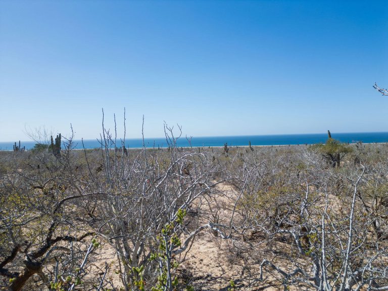 Las Playitas Heaven Lot #5 – photo 5