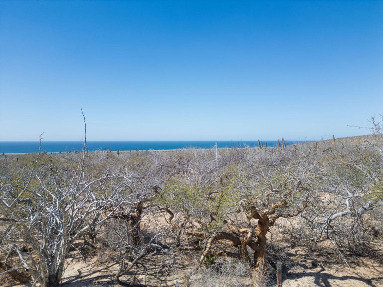 Las Playitas Heaven Lot #6 – photo 4