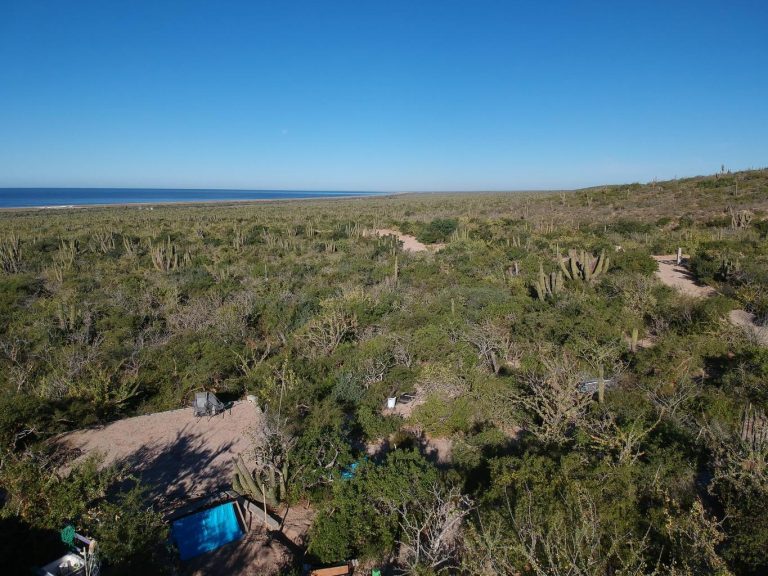 Las Playitas Lots 4 &5 – photo 5