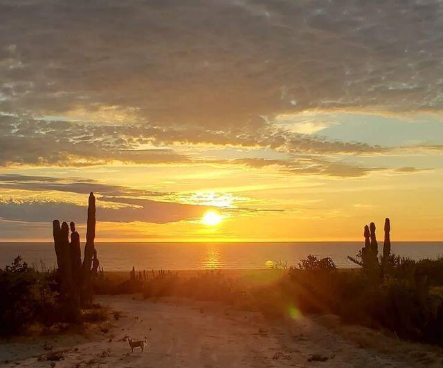Las Playitas Lots 4 &5 – Land for sale in Las Playitas, Todos Santos North (Las Playitas / Agua Blanca)