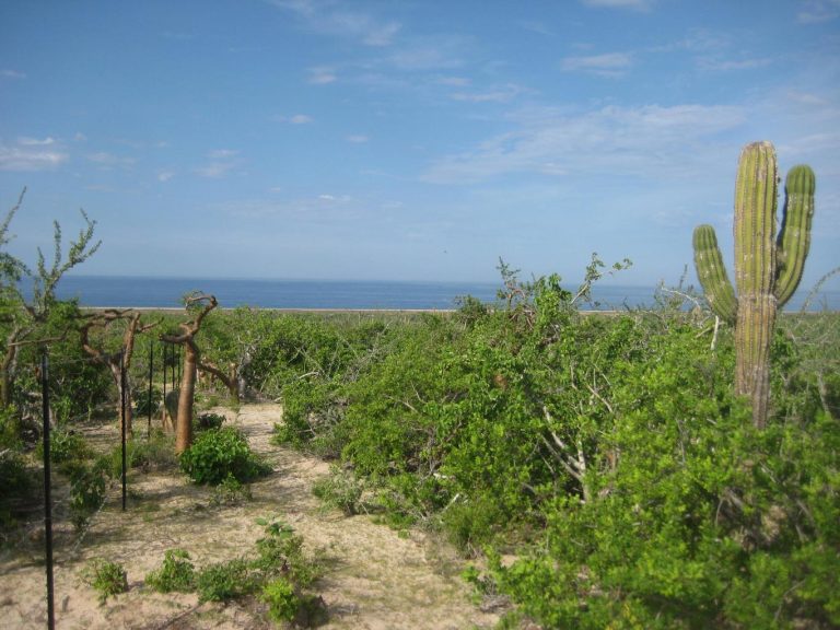 Las Playitas Lots 4 &5 – photo 2