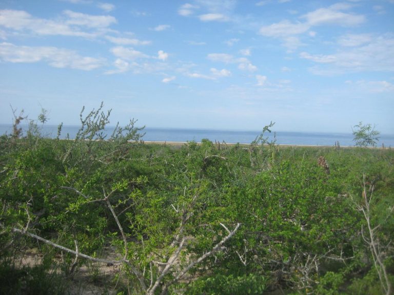 Las Playitas Lots 4 &5 – photo 3