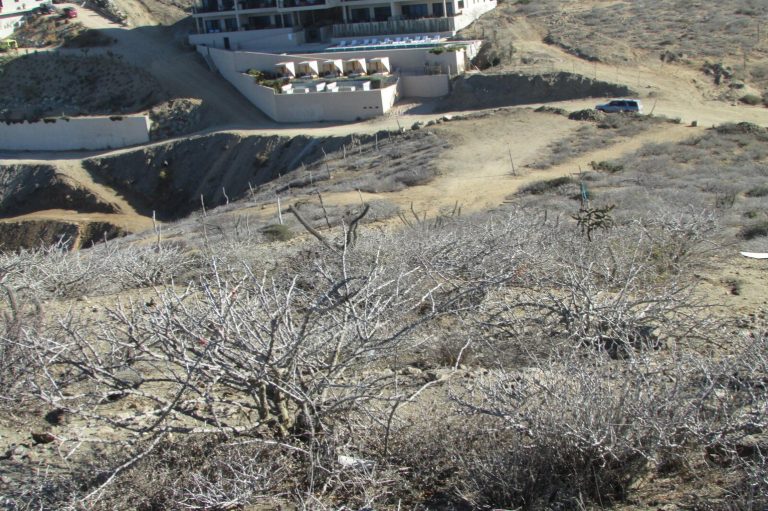 Los Cerritos – photo 3