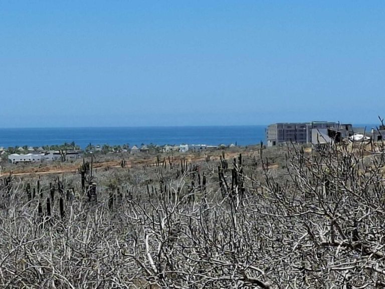 Lot 2107 Cerritos – photo 3