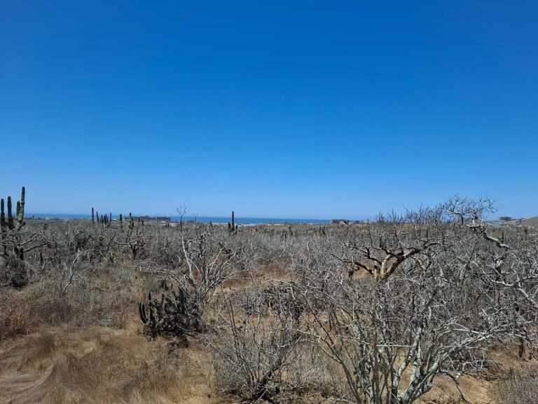 Lot 2107 Cerritos – photo 5