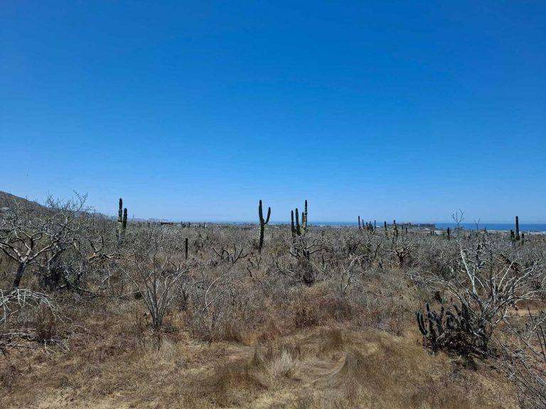 Lot 2107 Cerritos – photo 4