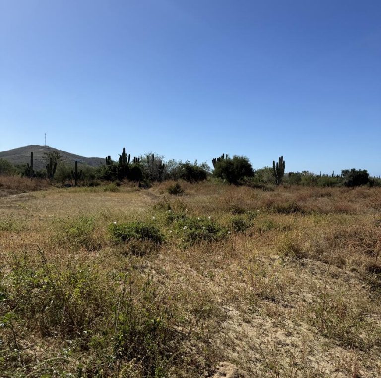 Lot 9 – photo 3