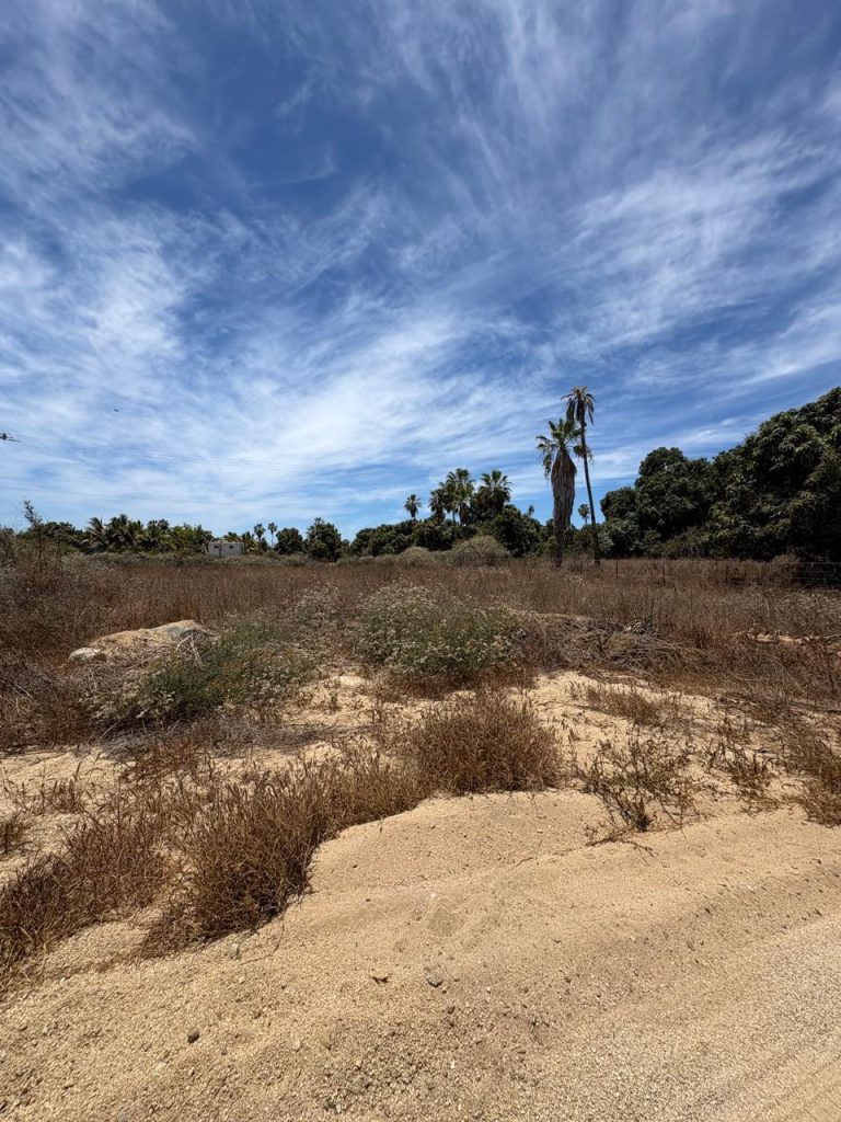 Lot - Pescadero Beach Living – photo 4