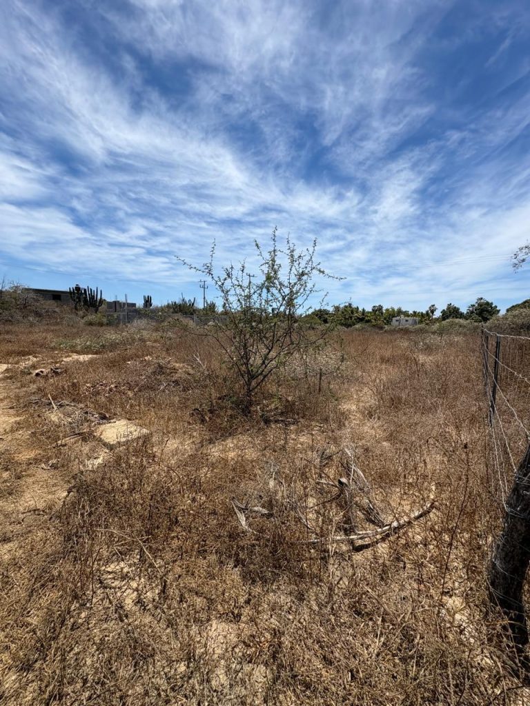 Lot - Pescadero Beach Living – photo 2
