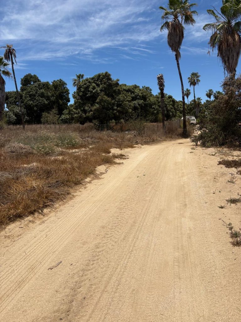 Lot - Pescadero Beach Living – photo 5