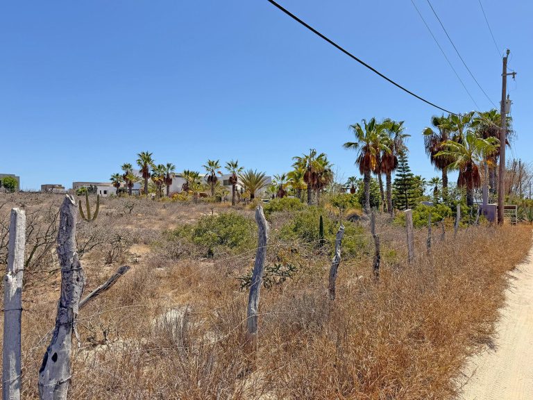LOTE 0400 – photo 2