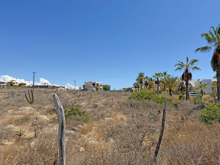 LOTE 0400 – photo 5
