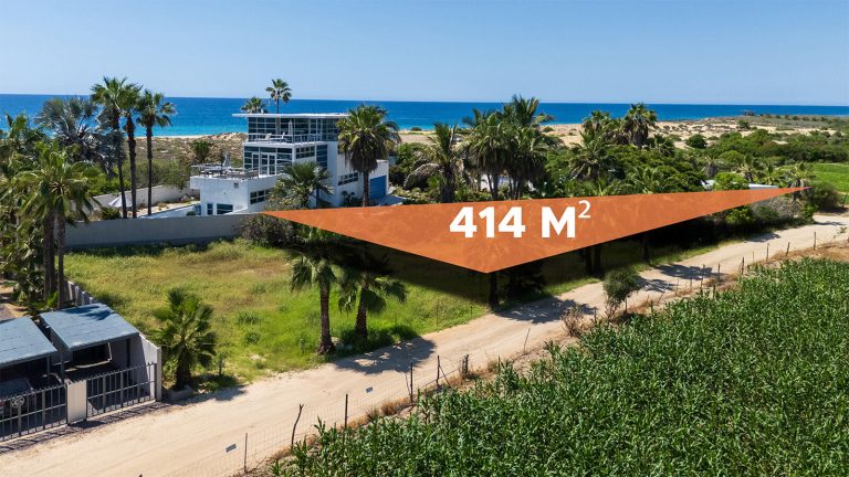 Lote 2 Palmas – Land for sale in La Cachora, Todos Santos