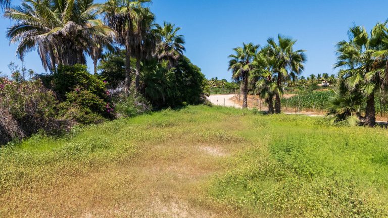 Lote 2 Palmas – photo 4