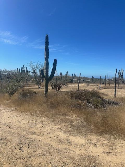 Lote 2011 – Land for sale in Cerritos