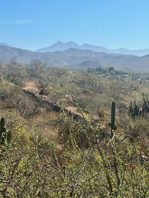Lote 801 – Land for sale in Cerritos
