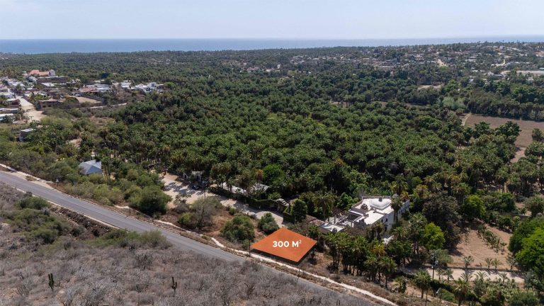 Lote Agave Todos Santos – Land for sale in Centro-Todos Santos, Todos Santos