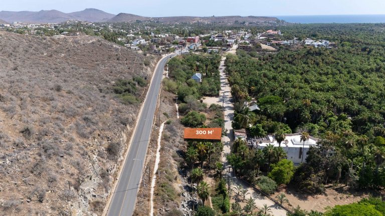 Lote Agave Todos Santos – photo 2