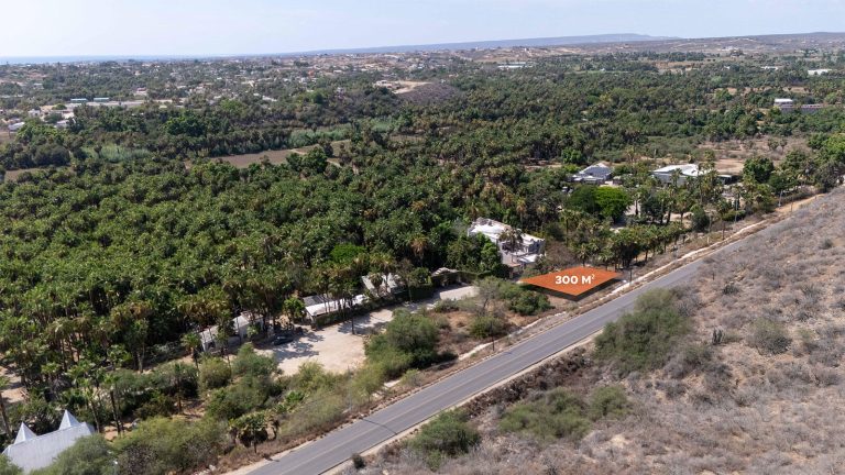 Lote Agave Todos Santos – photo 4