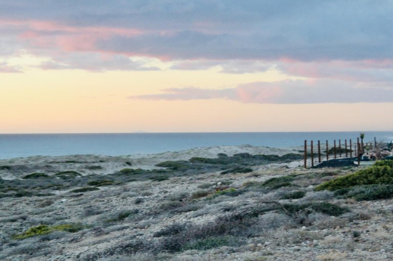 Lote Aguja – photo 2