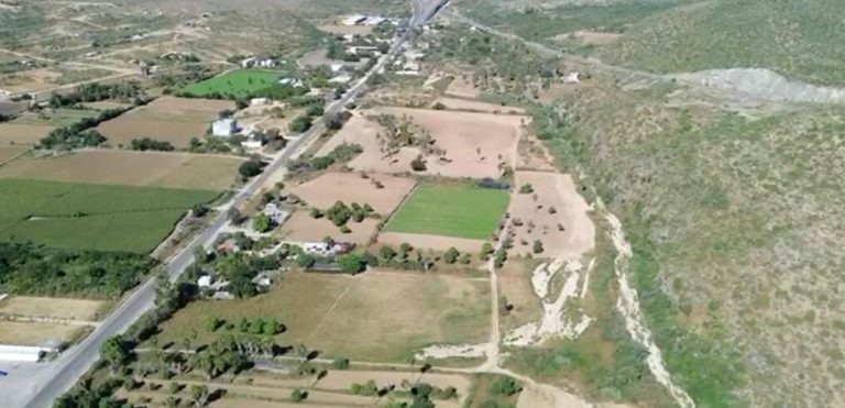 lote albahaca – photo 5