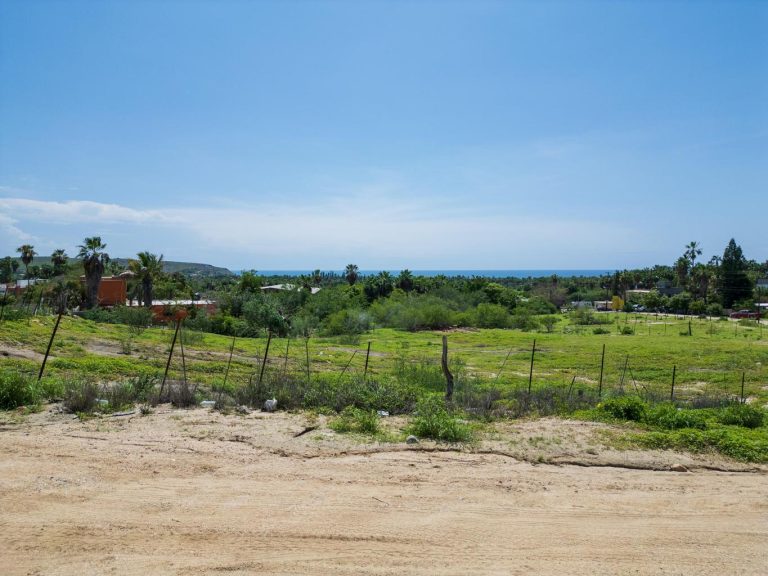 Lote Brisas Development – photo 5