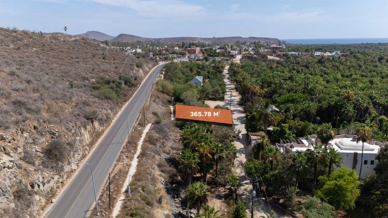 Lote Cardon Todos Santos – photo 3
