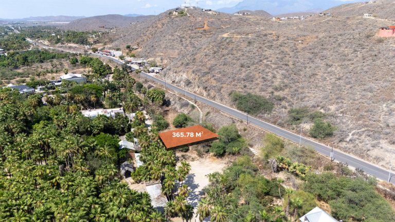 Lote Cardon Todos Santos – photo 2