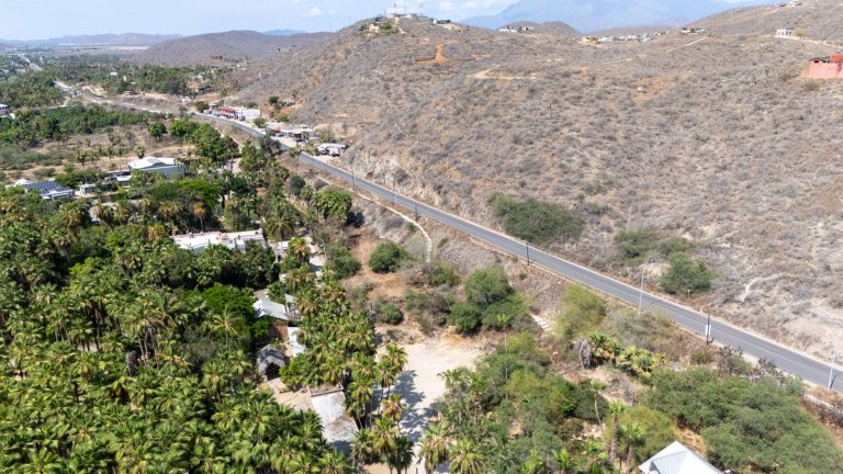 Lote Cardon Todos Santos – photo 5