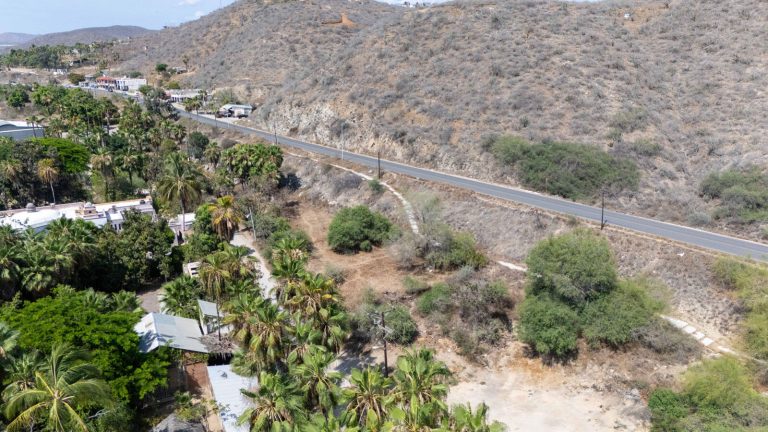 Lote Cardon Todos Santos – photo 4