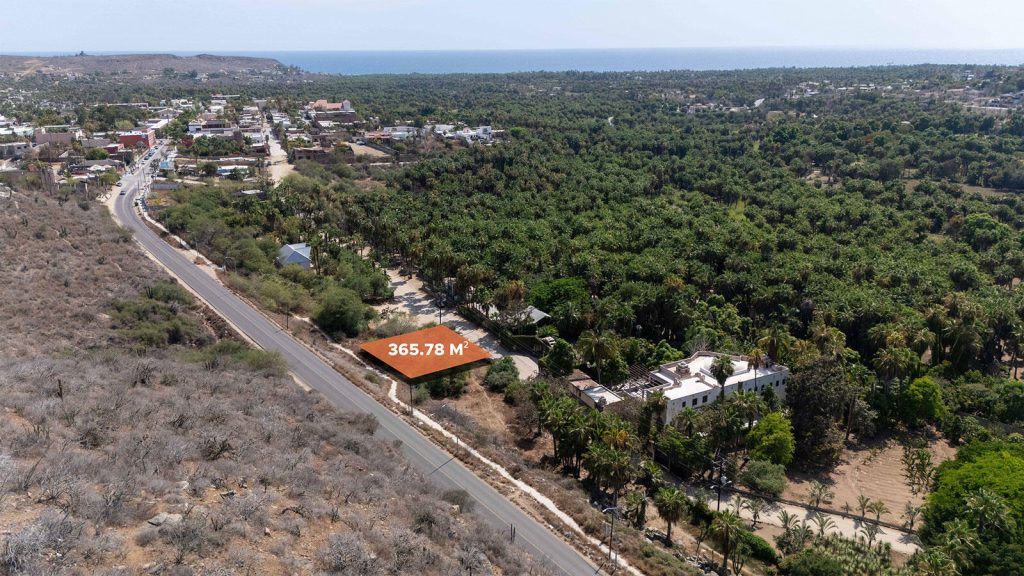 Lote Cardon Todos Santos – photo 1