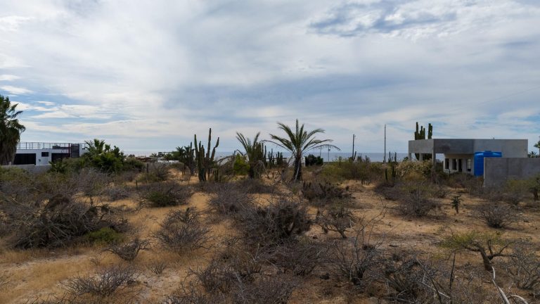 Lote Choya del Pacifico – photo 3