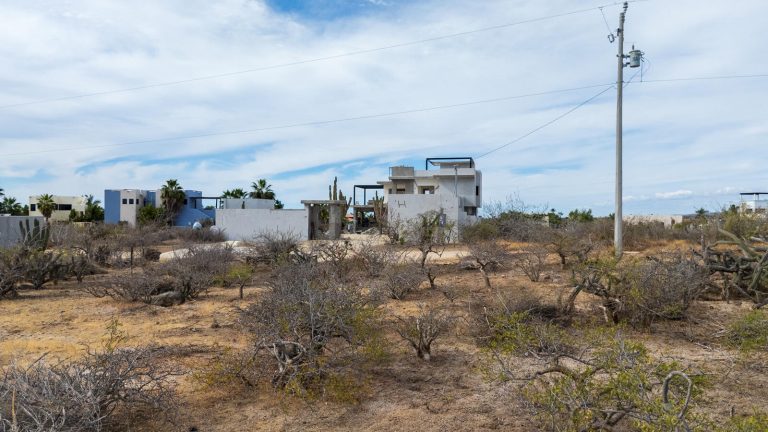 Lote Choya del Pacifico – photo 5