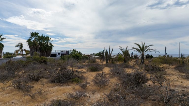 Lote Choya del Pacifico – photo 4
