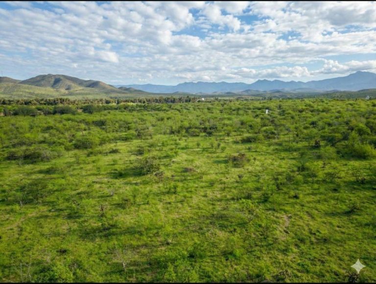 Lote Elias Calles – photo 5
