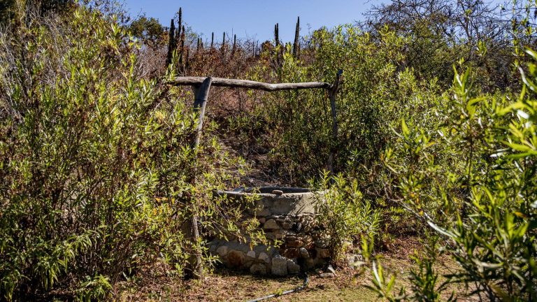 Lote Encinitos 04 – photo 5