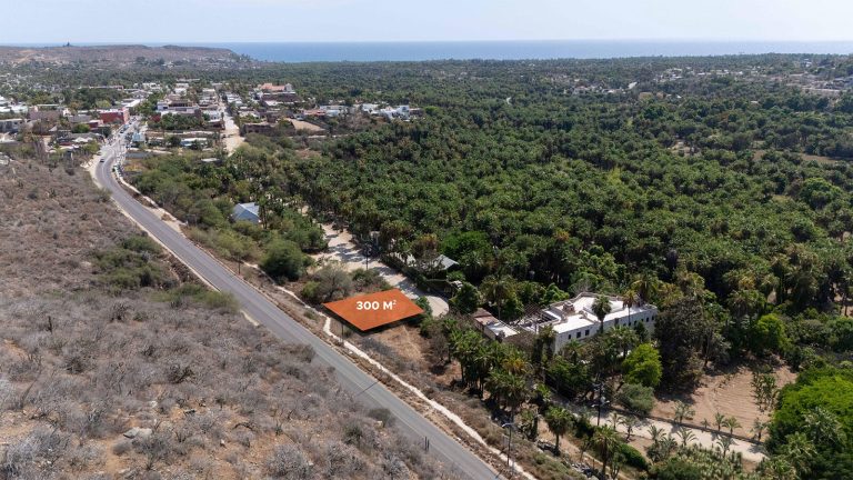 Lote Las Palmas Todos Santos – photo 4