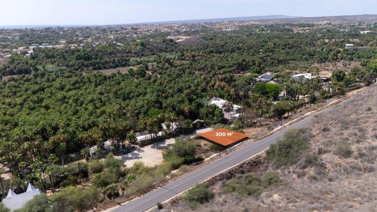 Lote Las Palmas Todos Santos – Land for sale in Centro-Todos Santos, Todos Santos