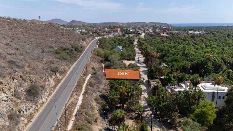 Lote Las Palmas Todos Santos – photo 3