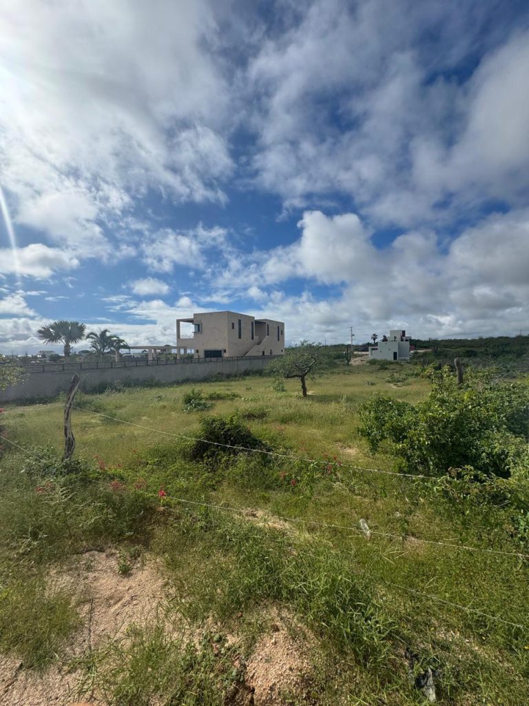 Lote Rosa – photo 5