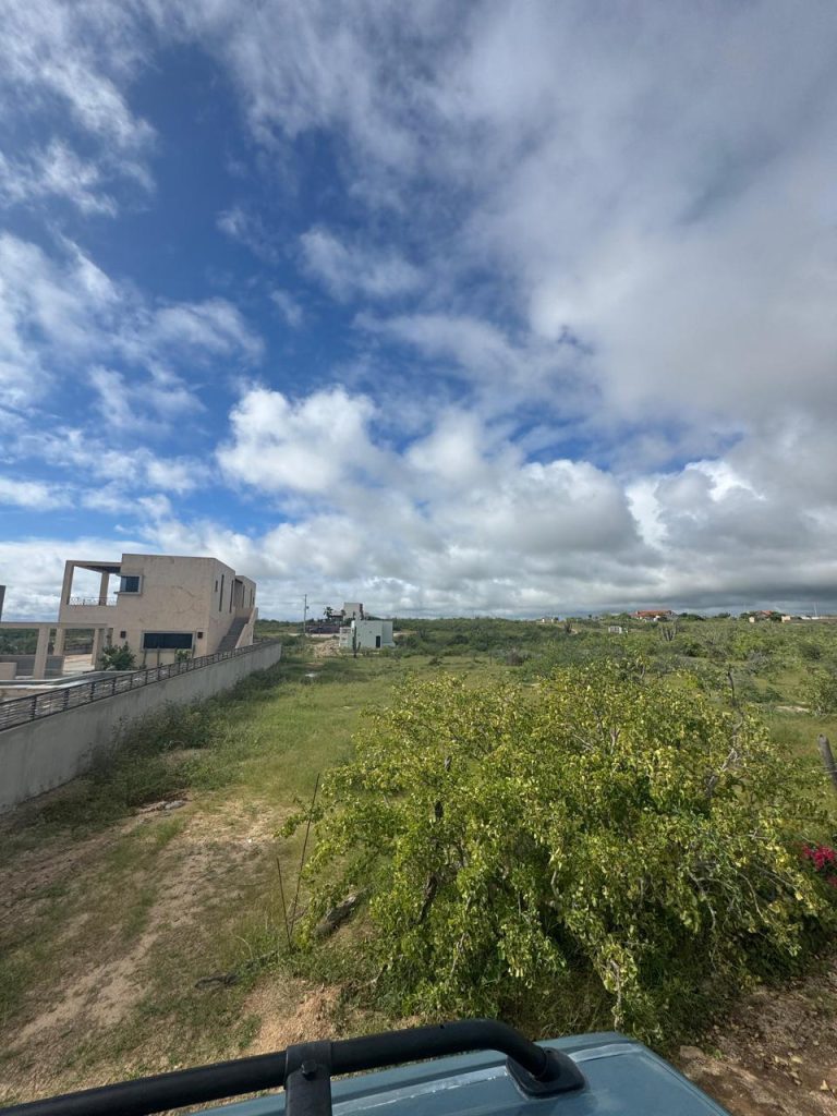 Lote Rosa – photo 4