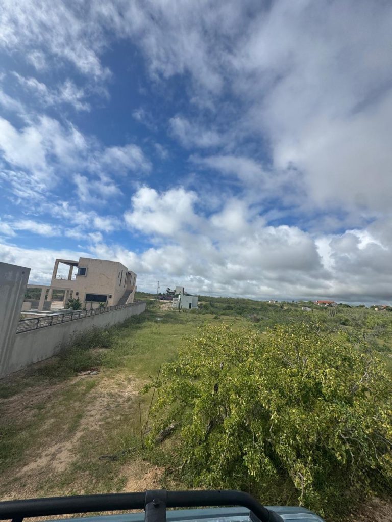 Lote Rosa – photo 3