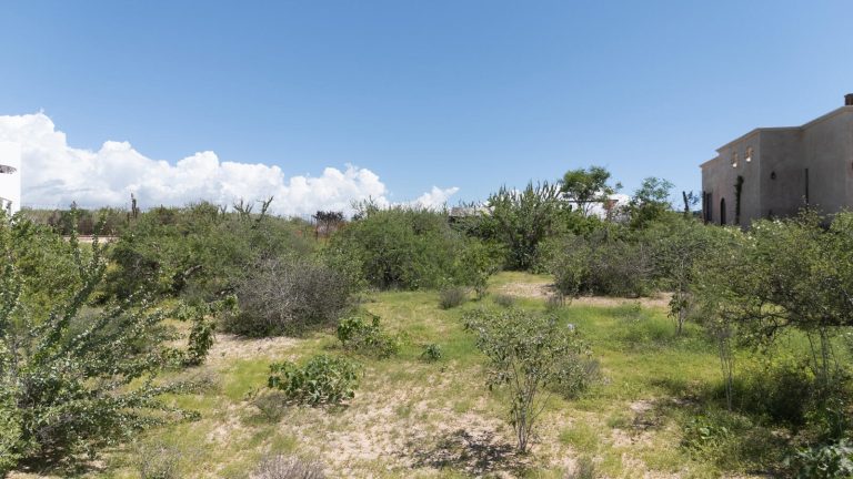 Lote Rosily – photo 2