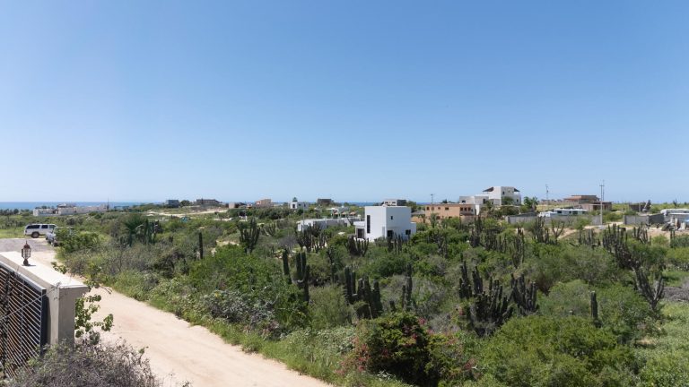Lote Rosily – photo 3
