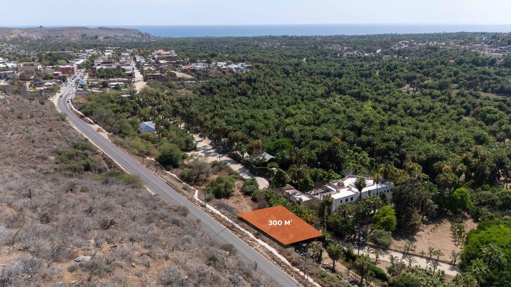 Lote Sahuaro Todos Santos – photo 1